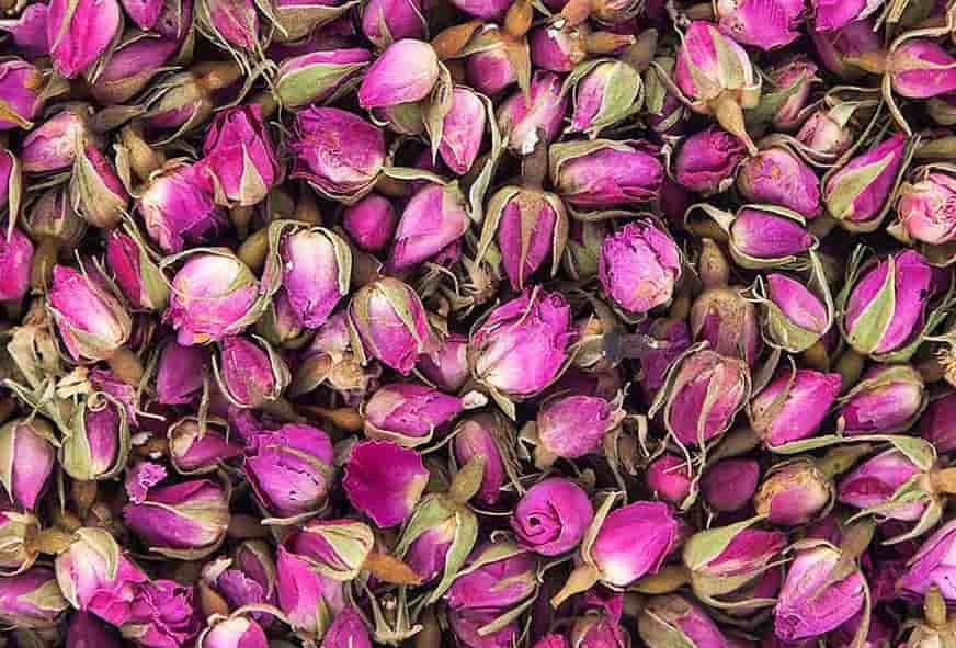 تصویر 2 از غنچه گل محمدی خشک شده با عطر بی نظیر